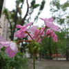 DSC09048