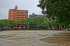 雨の中の公園（絵画調HDR）