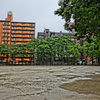 雨の中の公園（絵画調HDR）