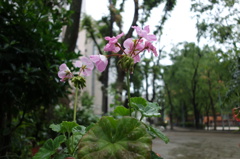DSC09051