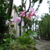 DSC09051