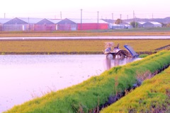 家の後ろ