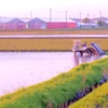 家の後ろ
