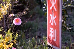 火水利