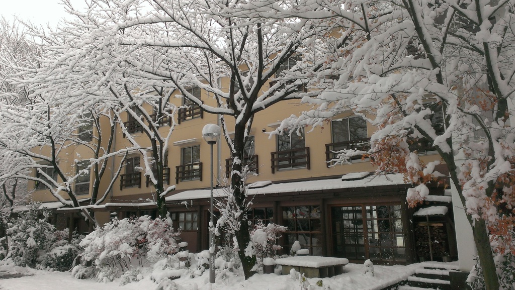 爆弾低気圧で杜もすっかり雪景色２(^O^)