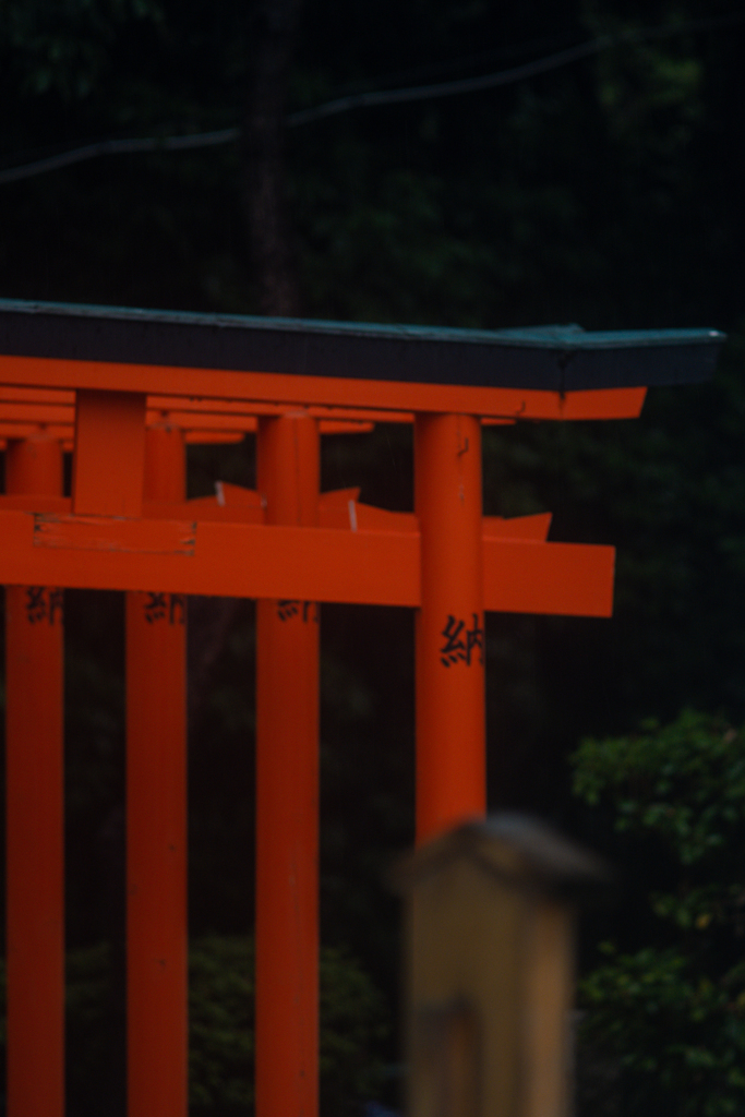 20200827-DSC_8360