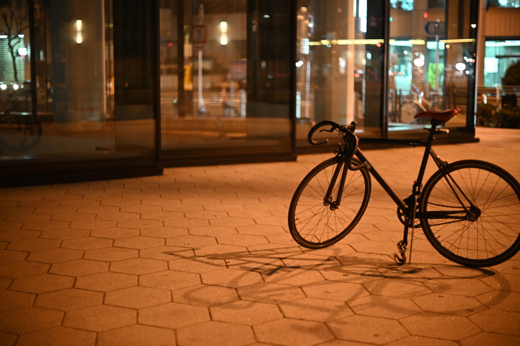 YDM_5058