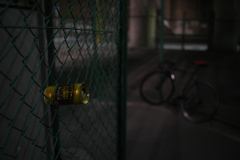 YDM_7359