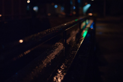 DSC_0050