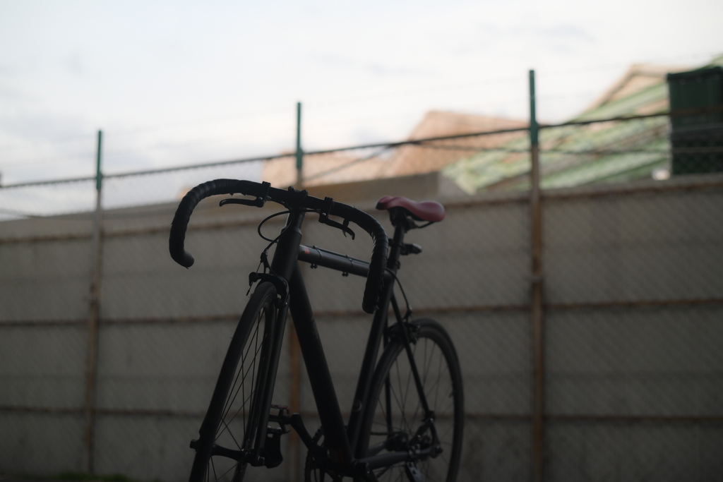 AI Nikkor 50mm F2-YDM_8421