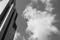 Z50_0825