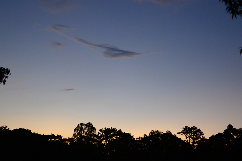 DSC_0602