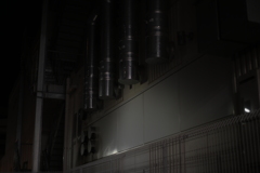 SMC PENTAX 55mm F1.8-YDM_9984