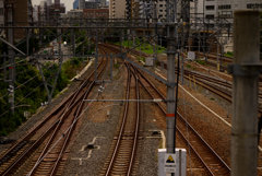 NZ5_2329