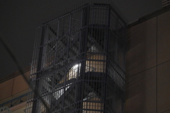 YDM_6632