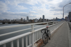 YDM_4492