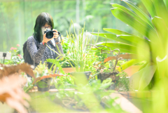 植物撮影行ってきました(●´ω｀●)