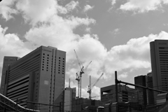 Z50_0887