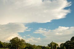 DSC_8878