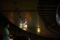 NZ5_2908