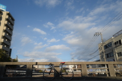 YDM_4641
