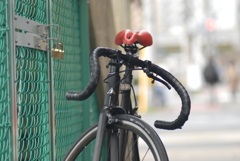 D200+NIKKOR-Q・C Auto 135mm F3.5-200_0059