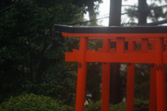 20200827-DSC_8356