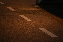 YDM_7019