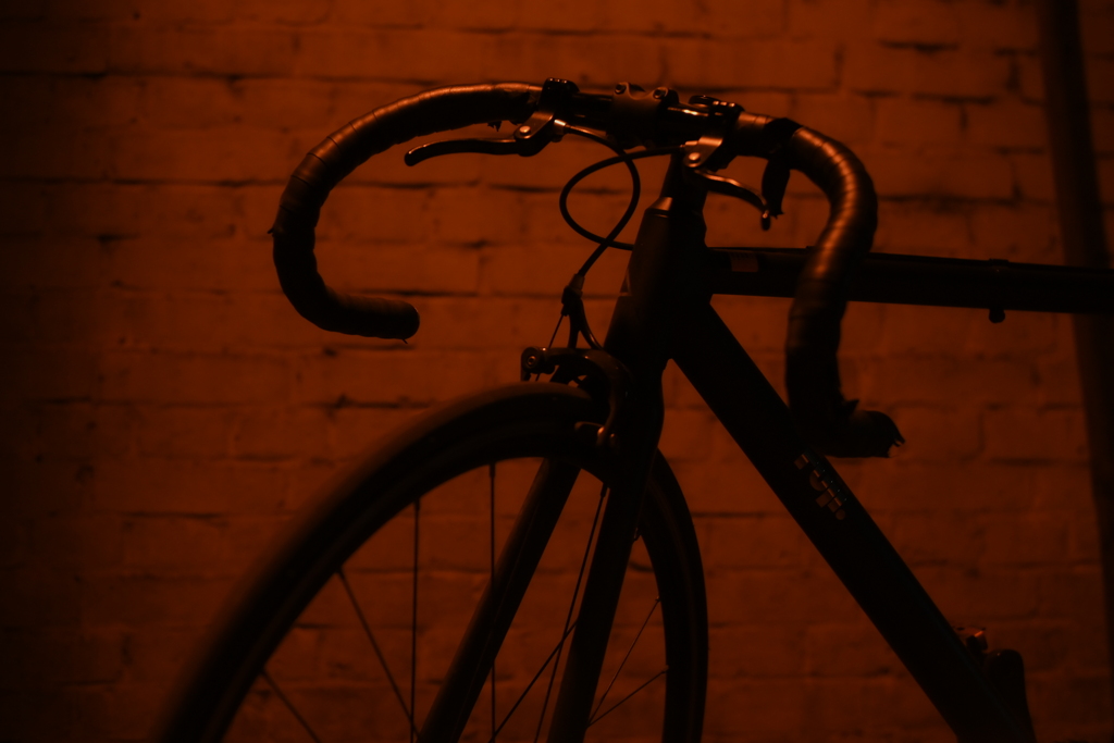 YDM_7219