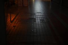 NIKKOR Z 50mm f/1.8 S-YDM_0010