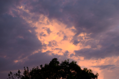 DSC_0574