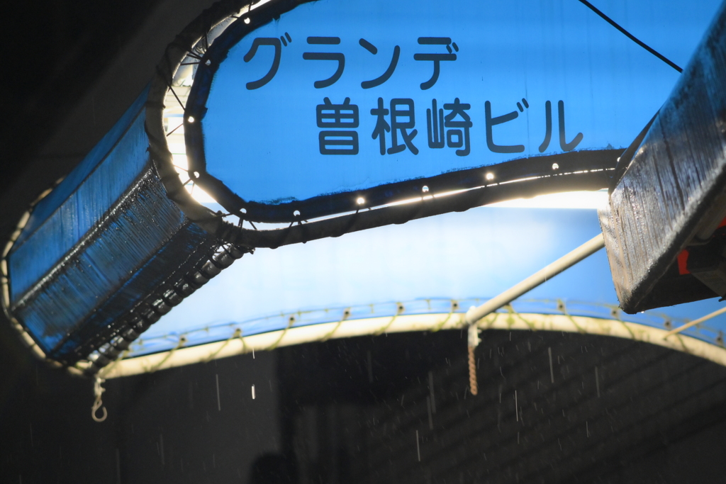 YDM_6587