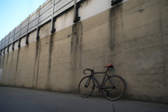YDM_4621