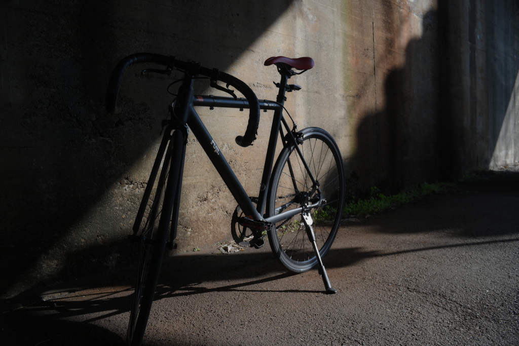 YDM_7166