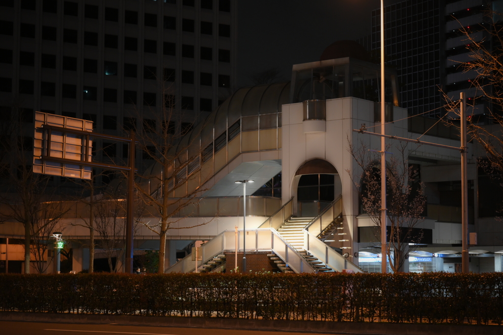 NIKKOR Z 85mm f/1.8 S-YDM_9369