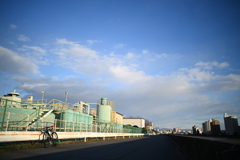 YDM_4818
