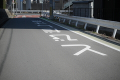 YDM_7929