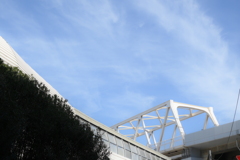 YDM_7931