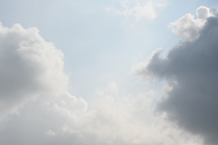 7152DC5D-781C-4996-8FA8-DD31D61FD6C2