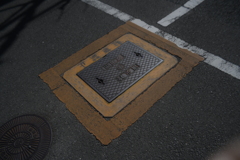 YDM_7919