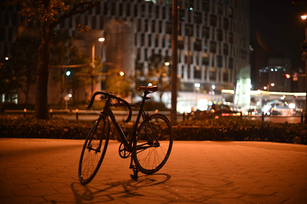 YDM_5067
