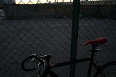 YDM_4869