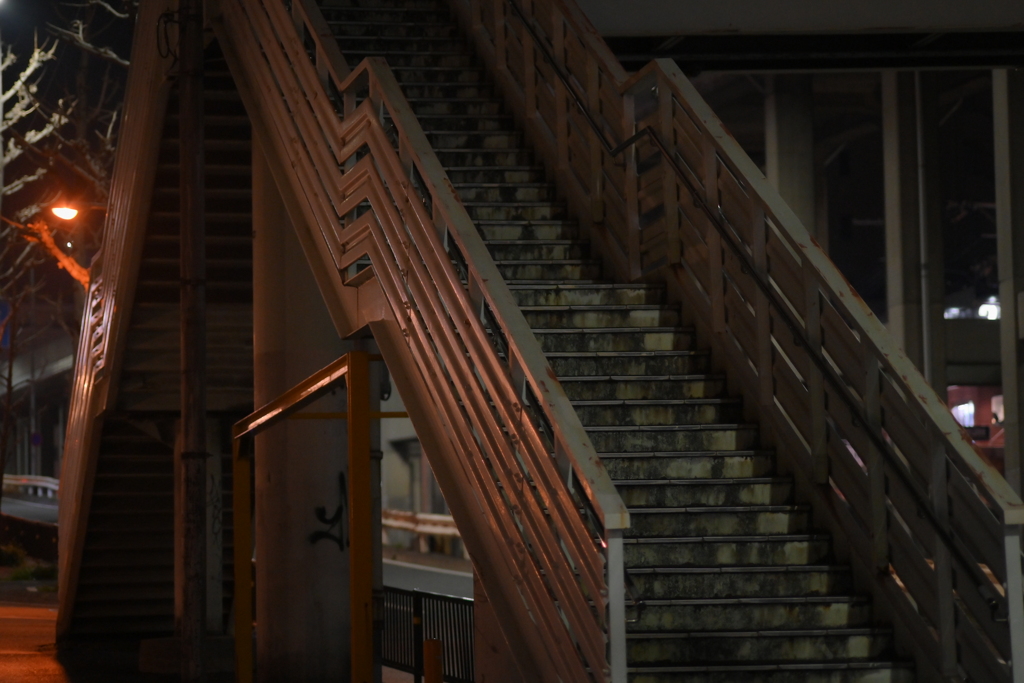YDM_7018