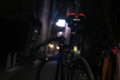 Z6ⅱ＋carena carenar 55mm/f1.8 / YDM_7560