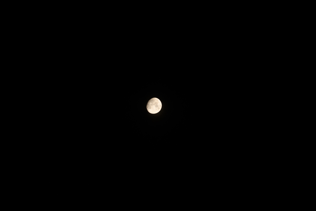 DSC_0385