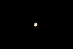 DSC_0385