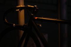 YDM_7067