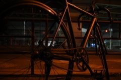 YDM_7368