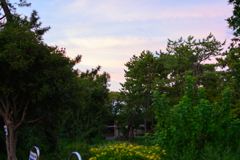 DSC_0567