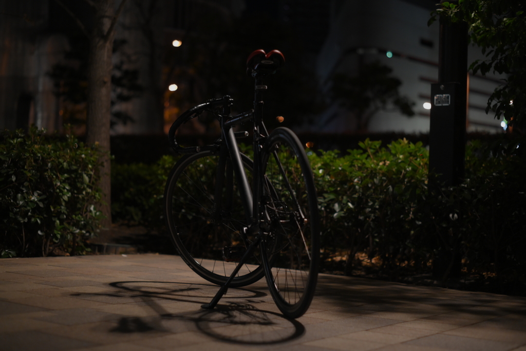 SMC PENTAX 55mm F1.8-YDM_9948
